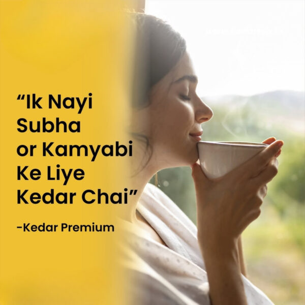 Kedar Strong Tea – Kadak Desi Chai for Daily Use at Home, Rich Taste, Strong Flavour – Office, Hotel & Tea Stall – Wholesale, Bulk Buyers - Image 8